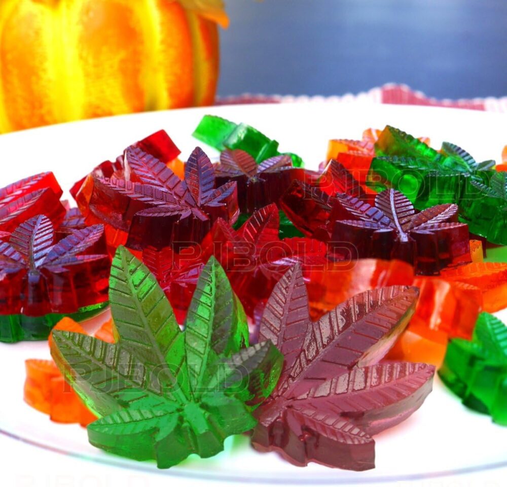 Shop Secondary Image