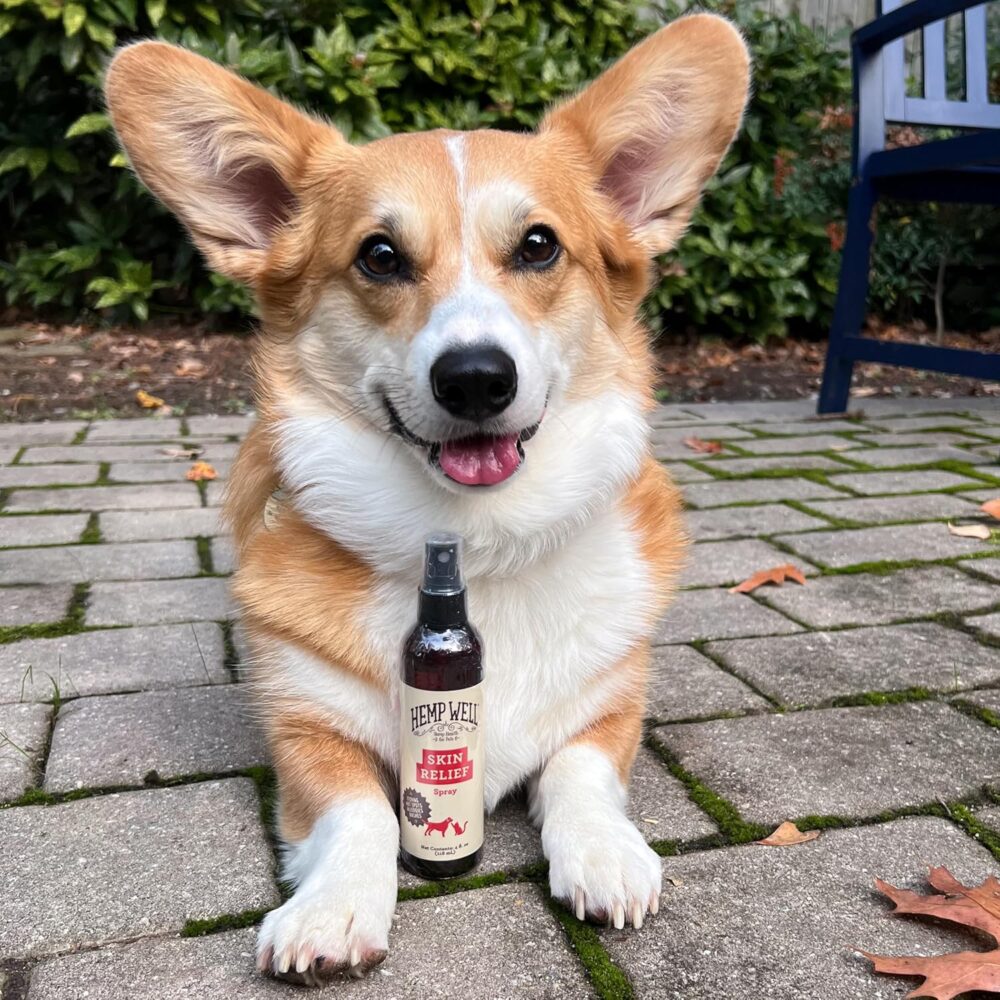 Shop Secondary Image